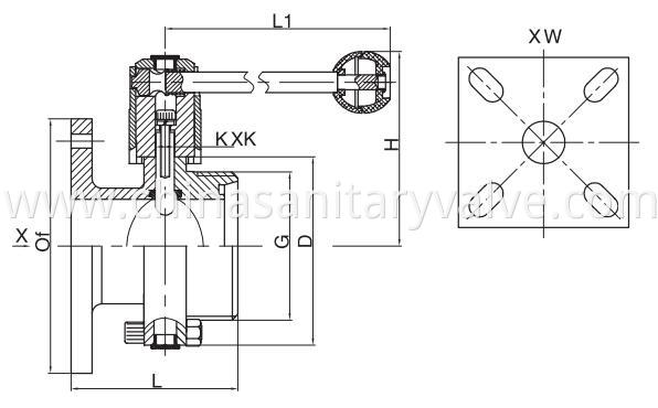 sanitary butterfly valve flange and thread end DIN